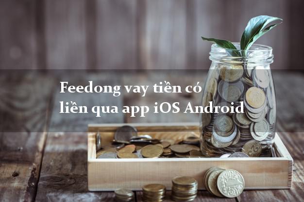 Feedong vay tiền có liền qua app iOS Android